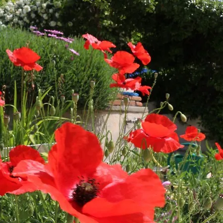 L'oustalounet Chambres D'hotes Bed & Breakfast 3*