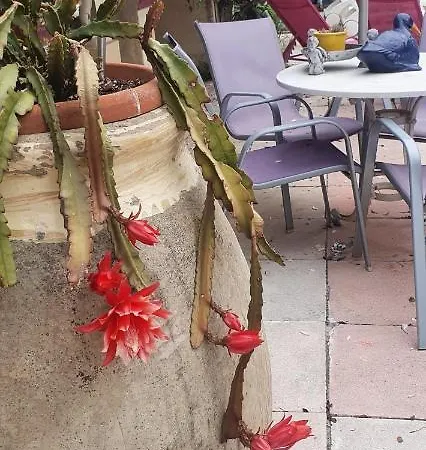 L'oustalounet Chambres D'hotes Cagnes-sur-Mer